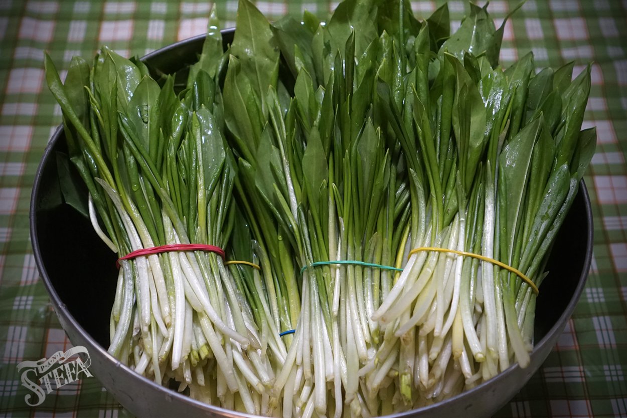 Черемша Кавказская