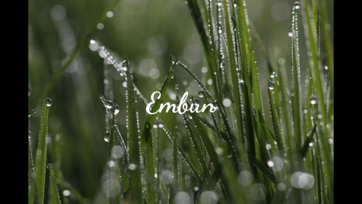 Роса на траве