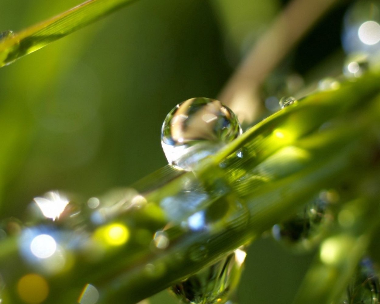 Капля Макросъемка