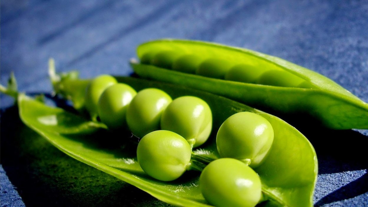 Глафира горошница