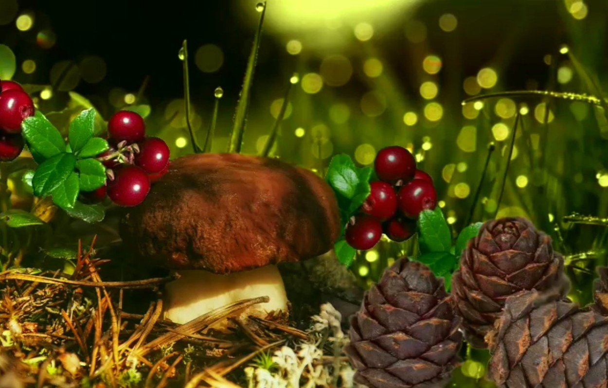 Осенние грибы