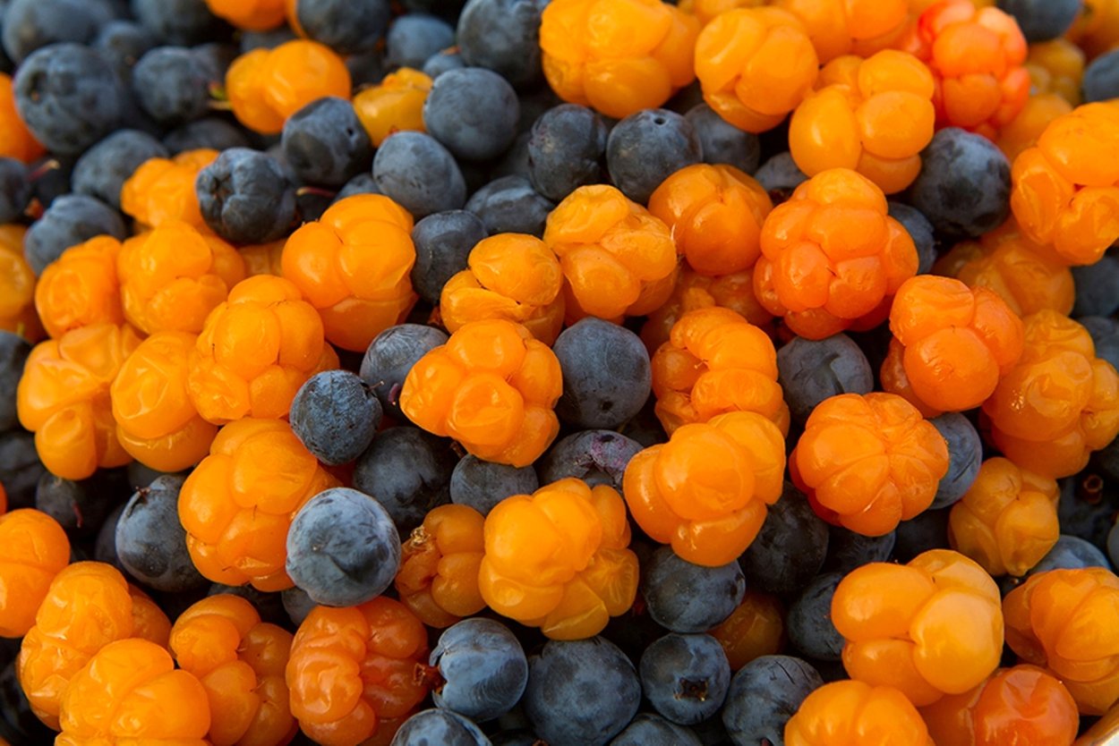 Морошка ягода