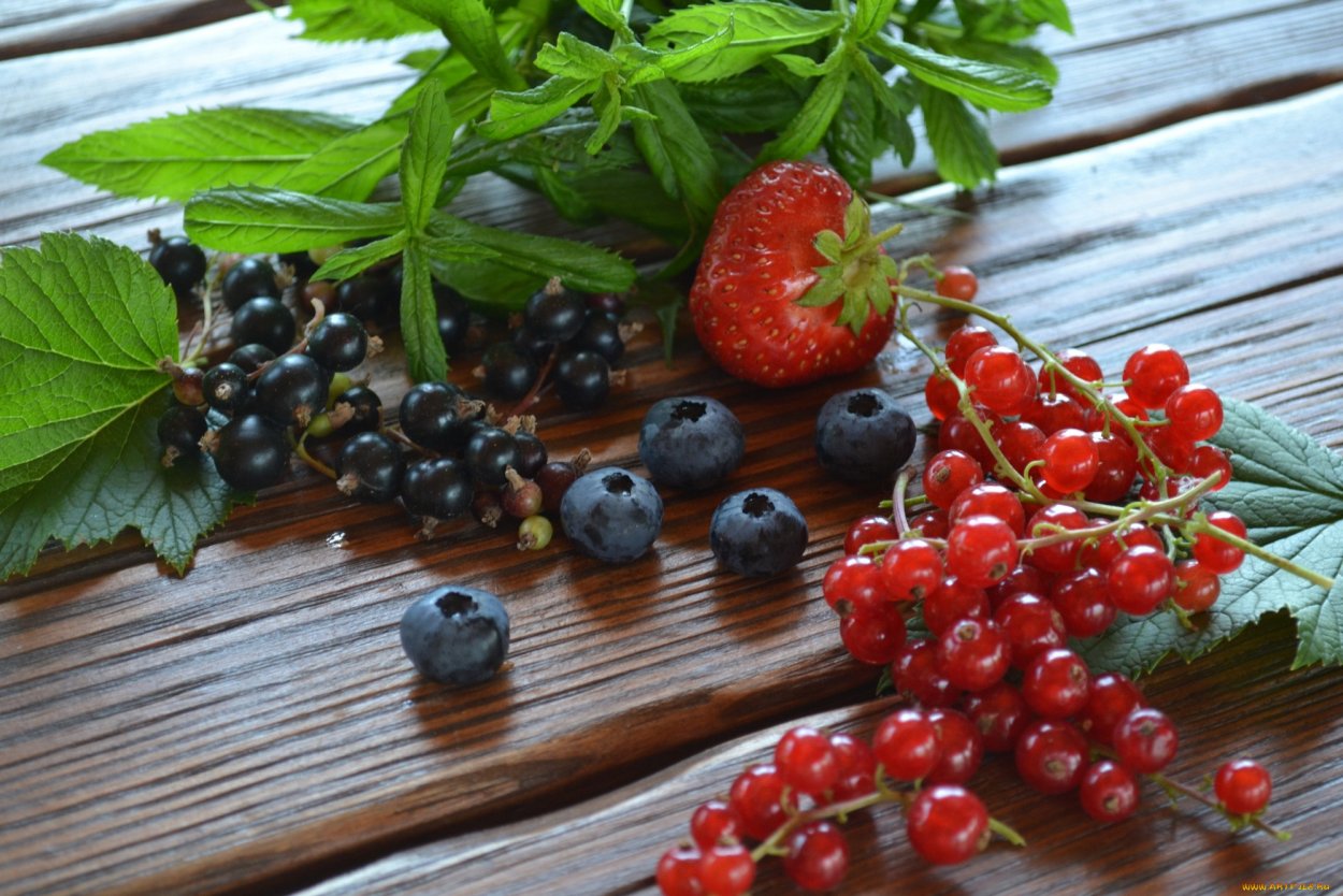 Ягоды черника смородина