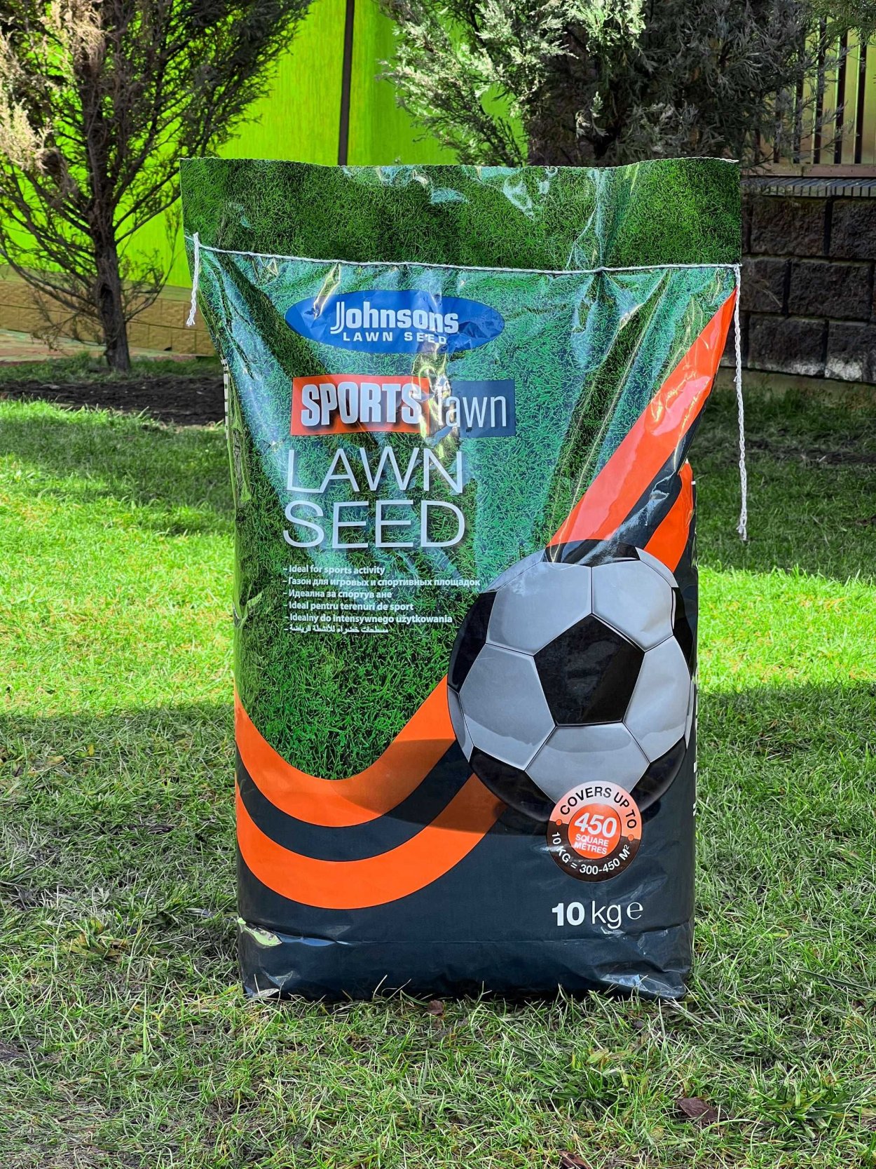 DLF газонная трава