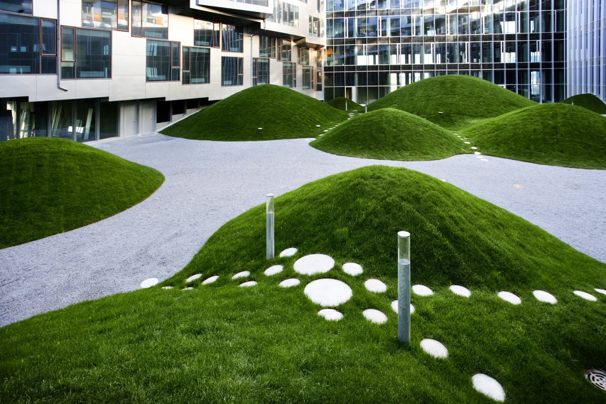 Медвежья Поляна рулонный газон