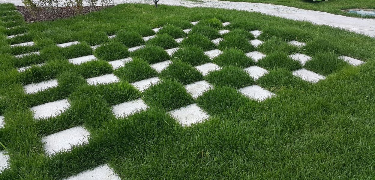 Газонная травосмесь absolute Green