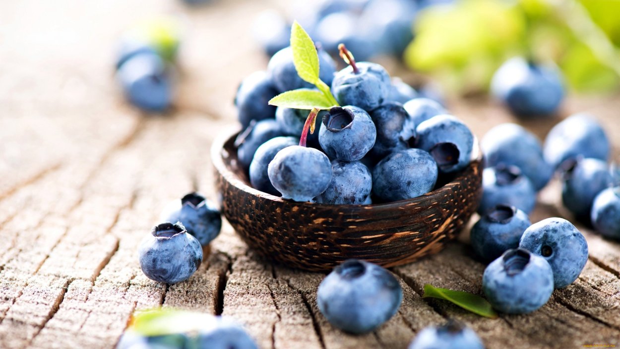 Голубика обыкновенная гонобобель