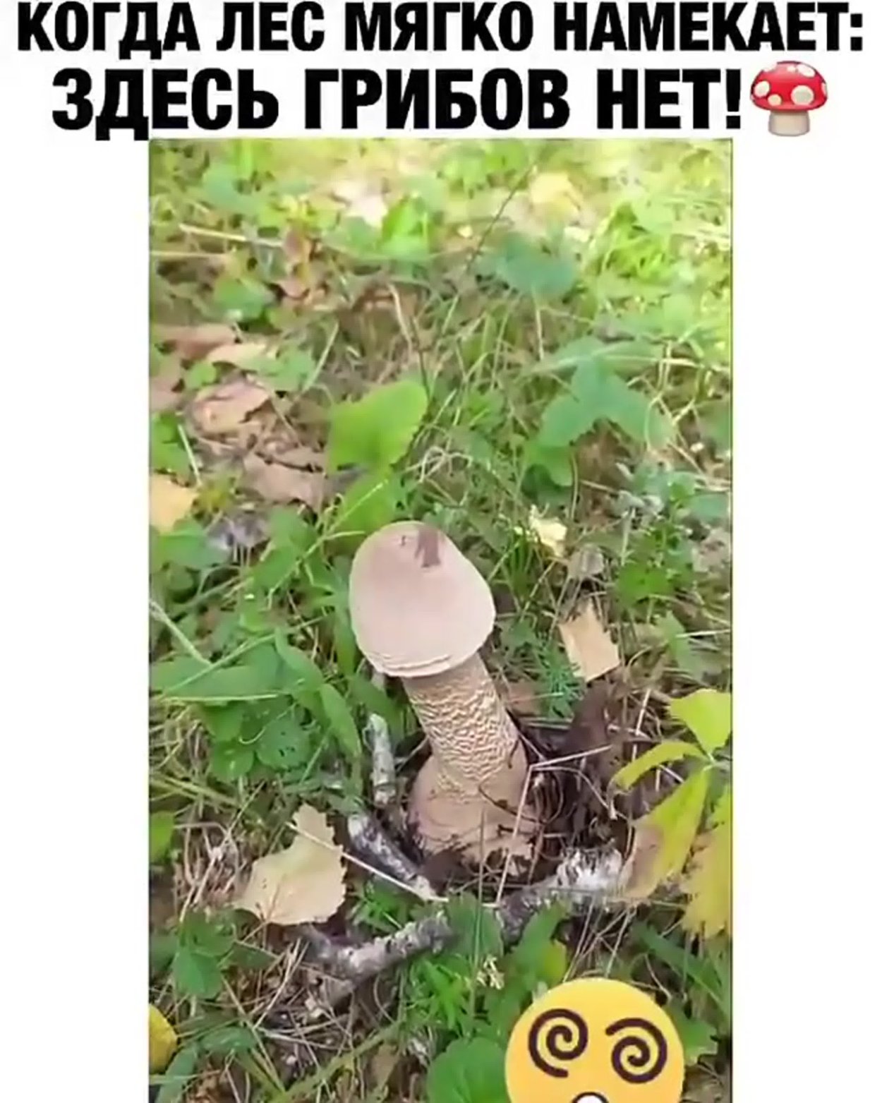 Мужик здесь грибов нет