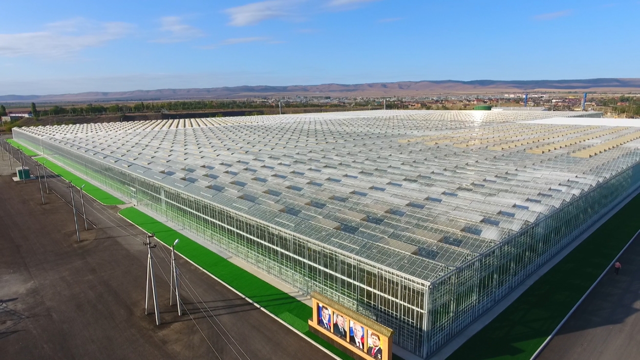 Тепличный комплекс ЮГАГРОХОЛДИНГ