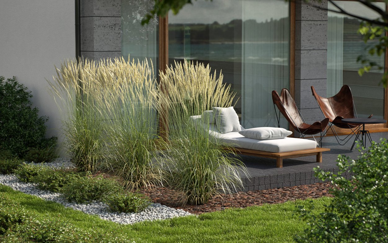 Нил Лукас декоративные злаки