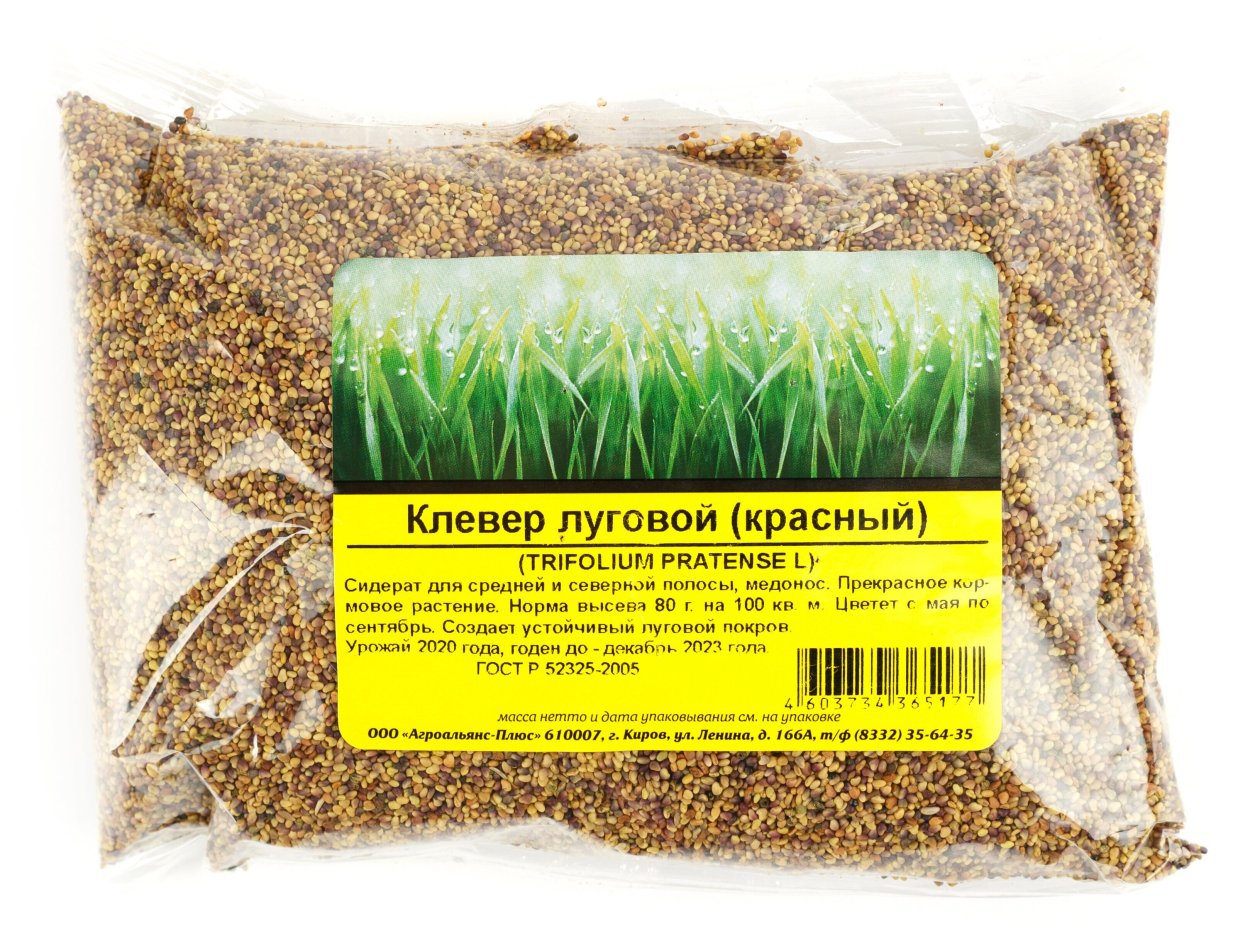 Клевер Луговой красный сидерат