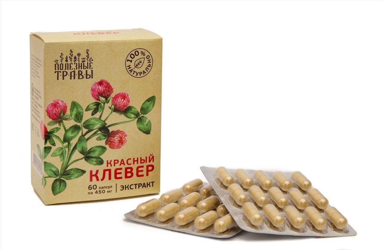 Клевер пунцовый фото