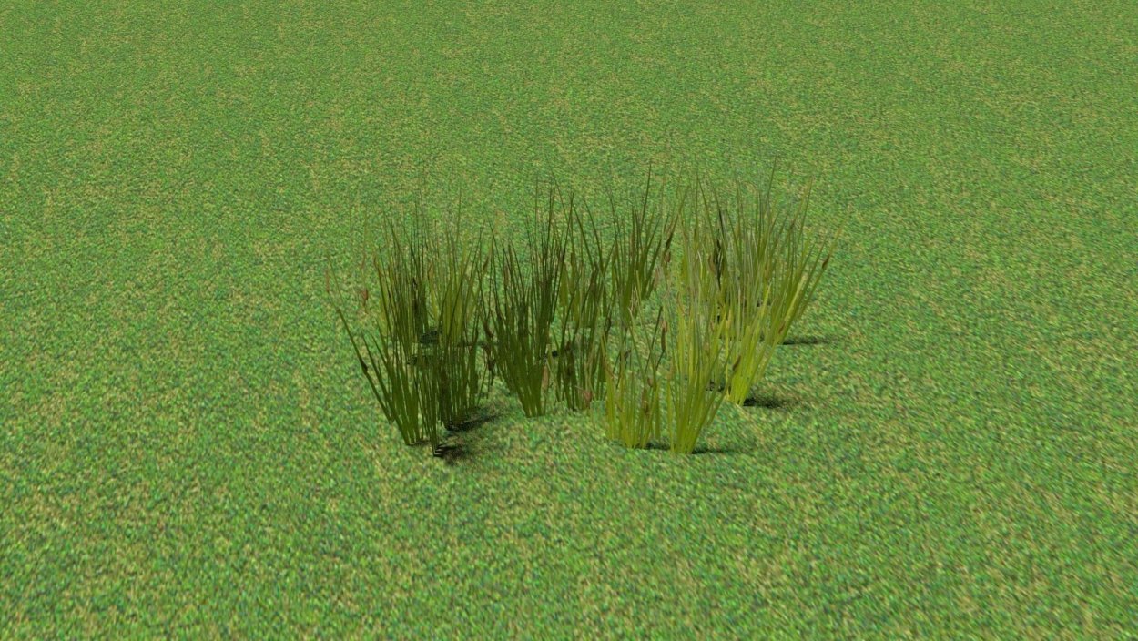 Текстура травы без швов