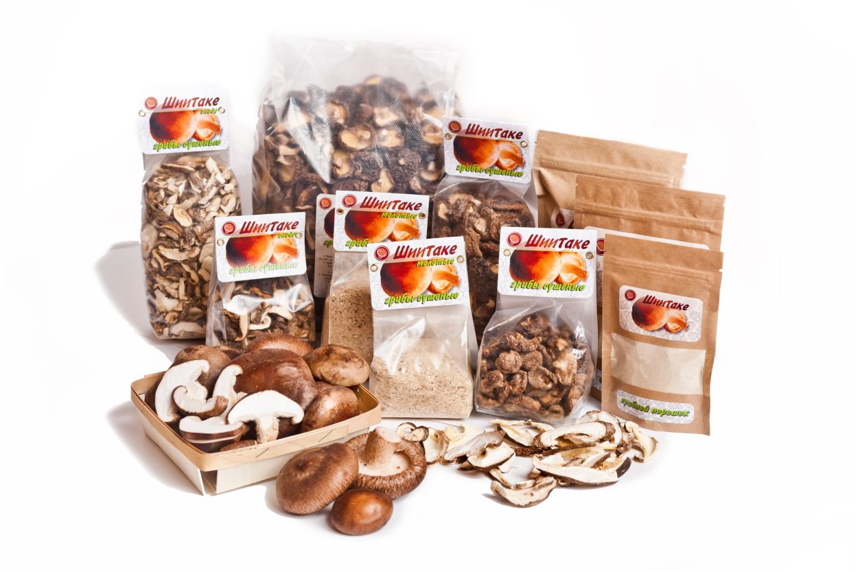 Шампиньоны вёшенки опята