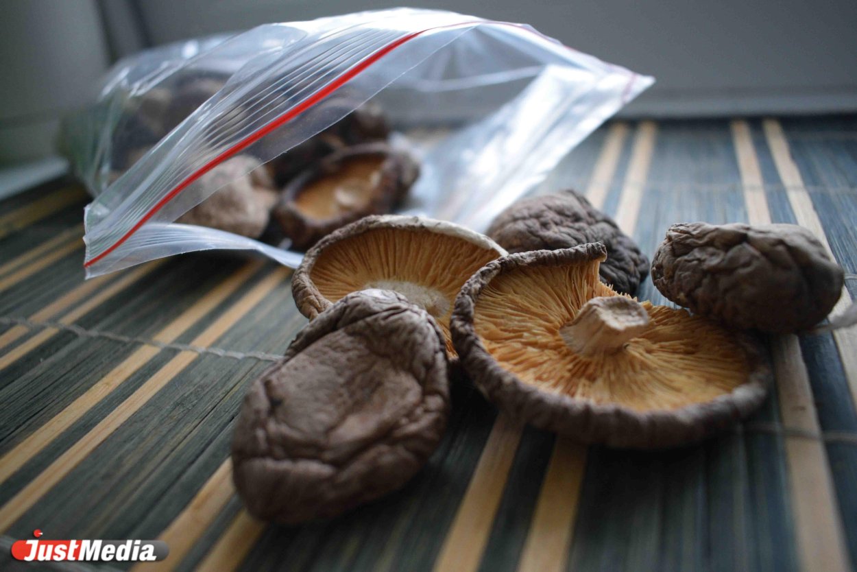 Грибы японские шитаки