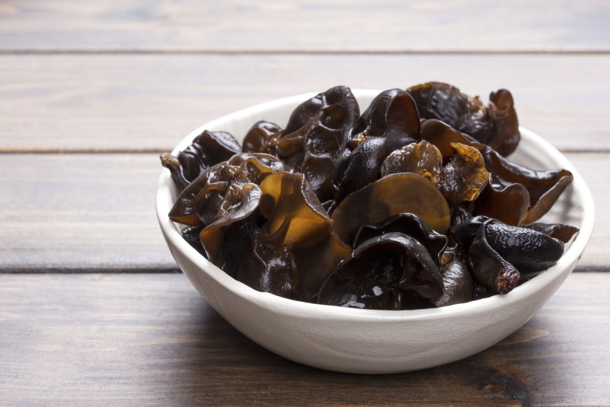 Вешенки на опилках