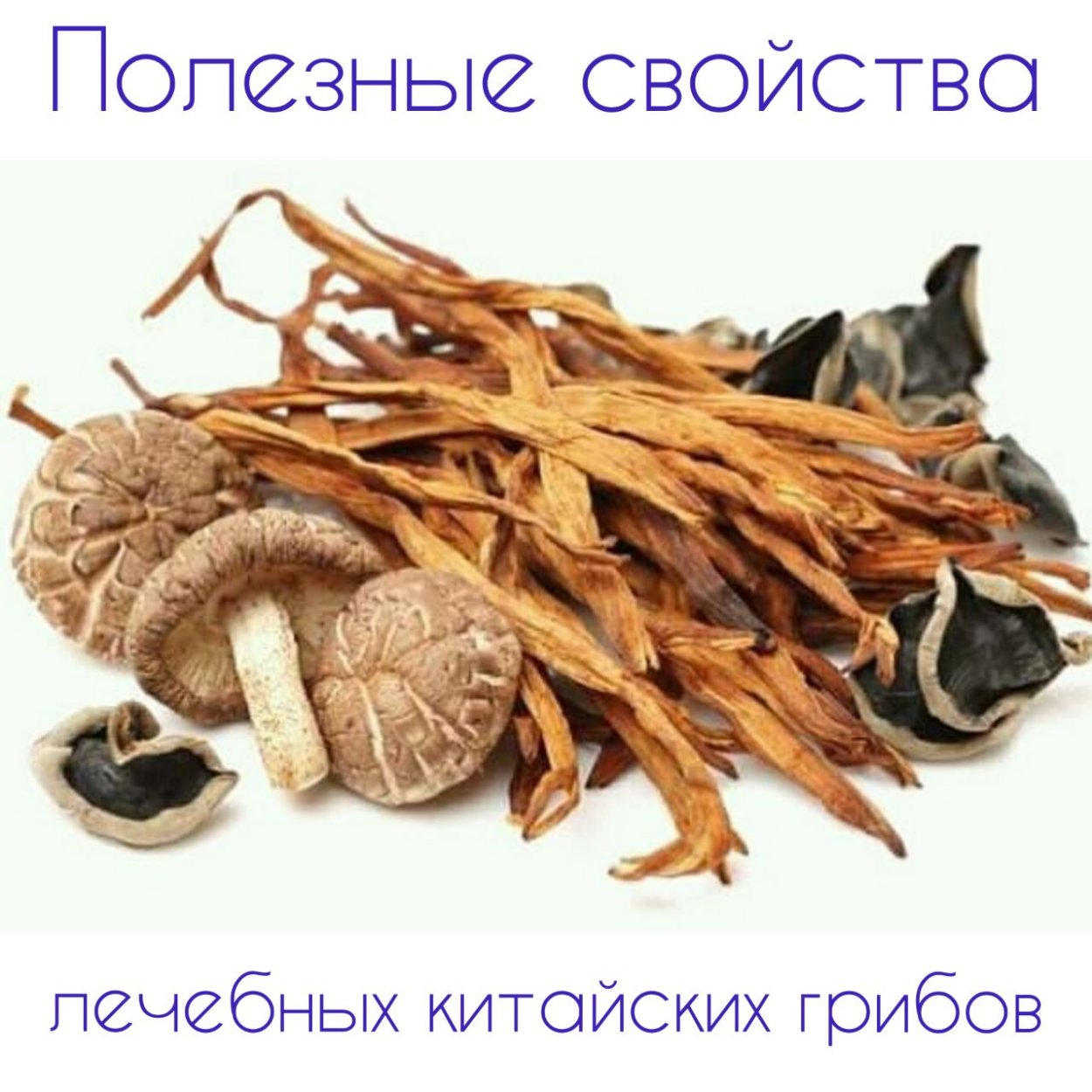 Японские грибы шиитаке