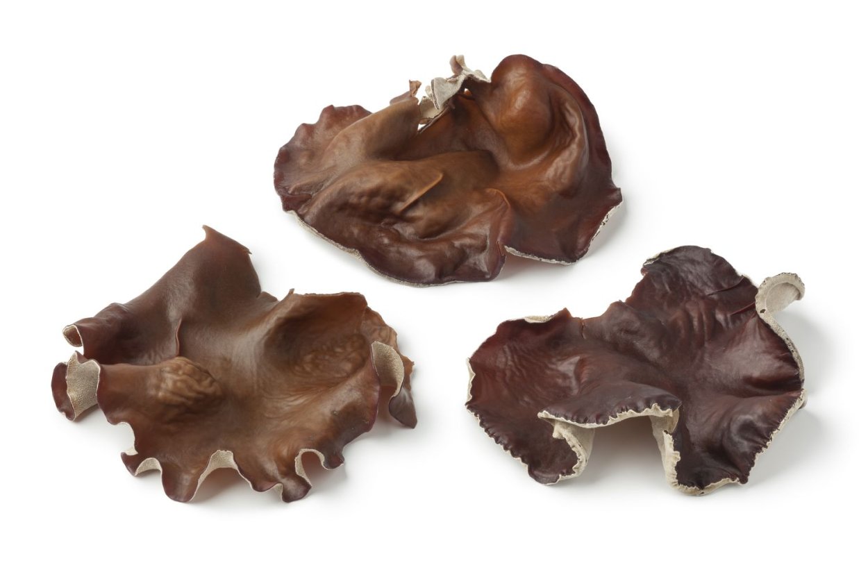 Шиитаке гриб Эвалар