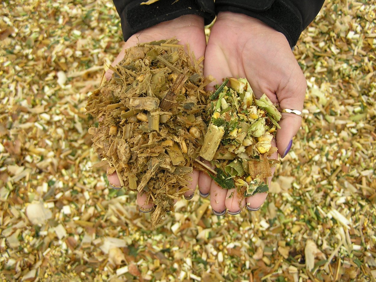 Комбикорм Пурина для телят 40 кг