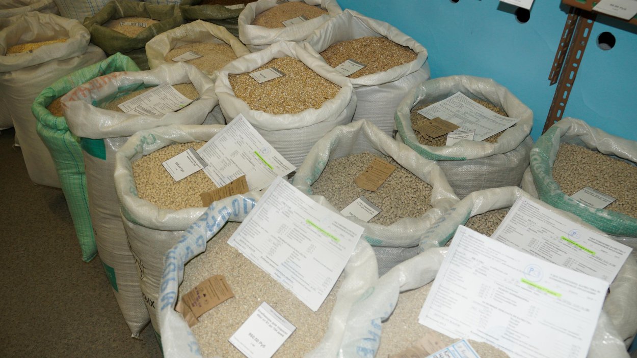 Солома пшеничная тюк (10-12 кг)