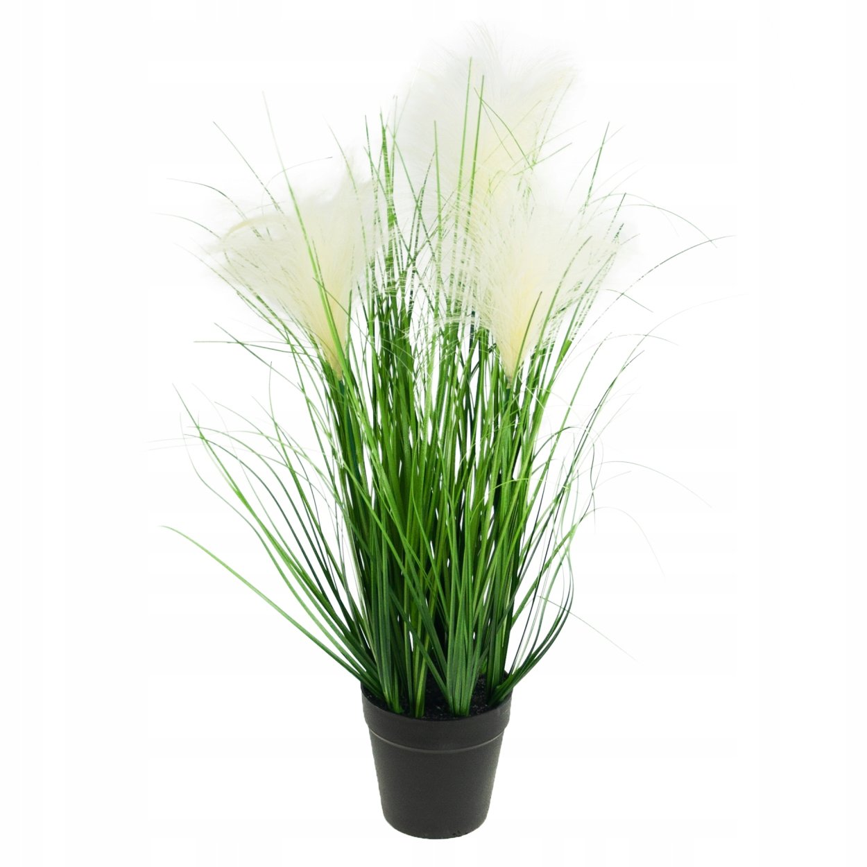 Пампасная трава Новосибирск