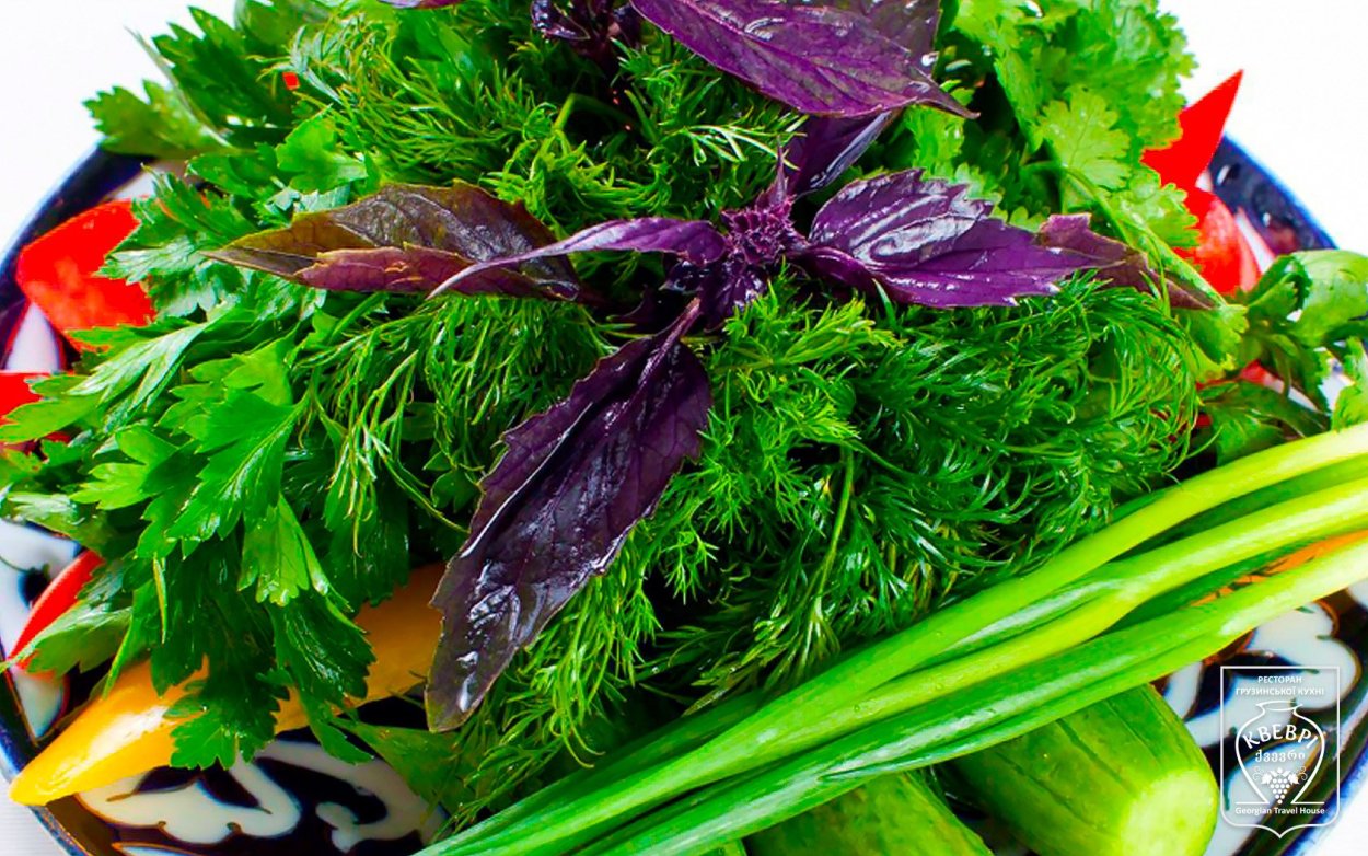 Укроп петрушка кинза базилик лук