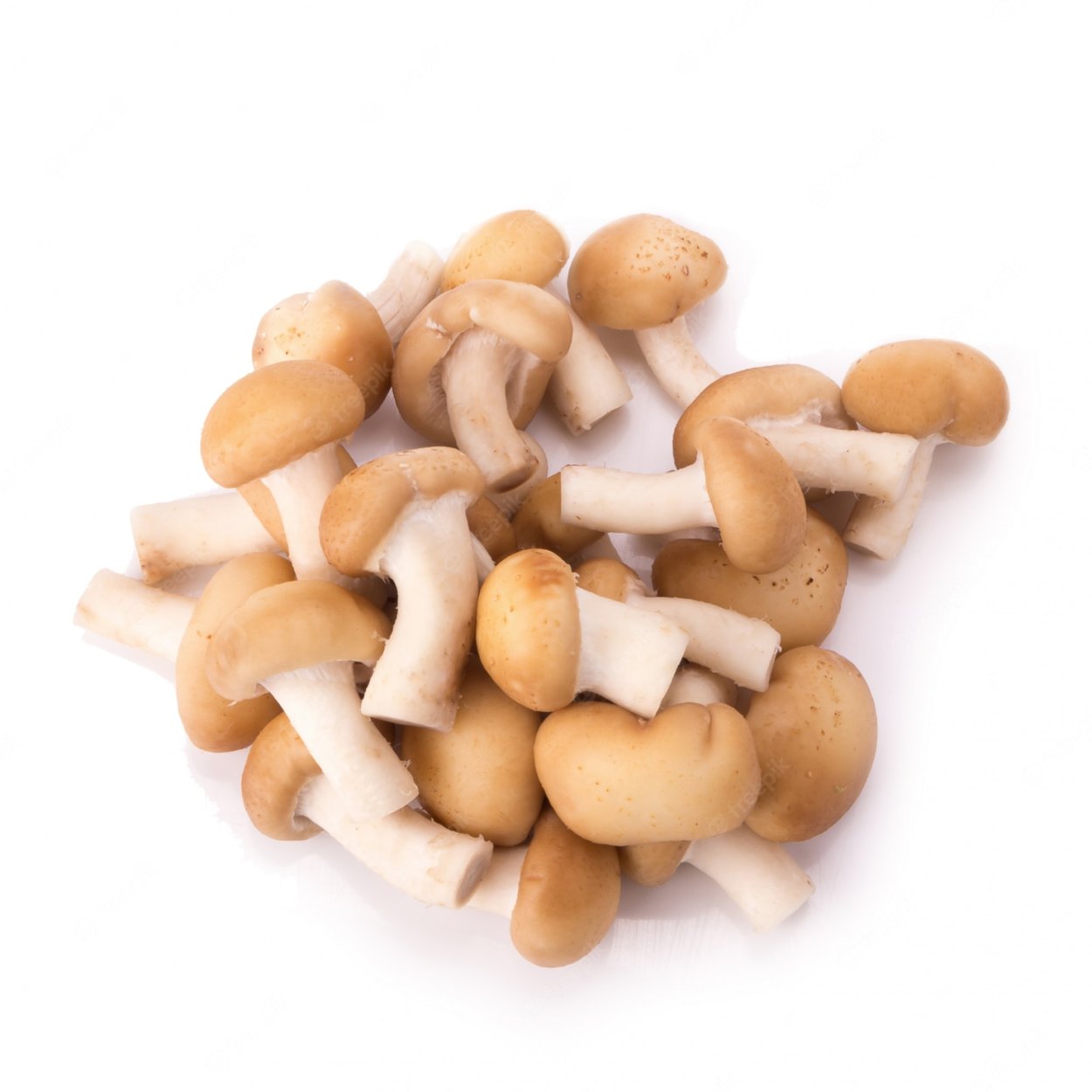 Опята весовые