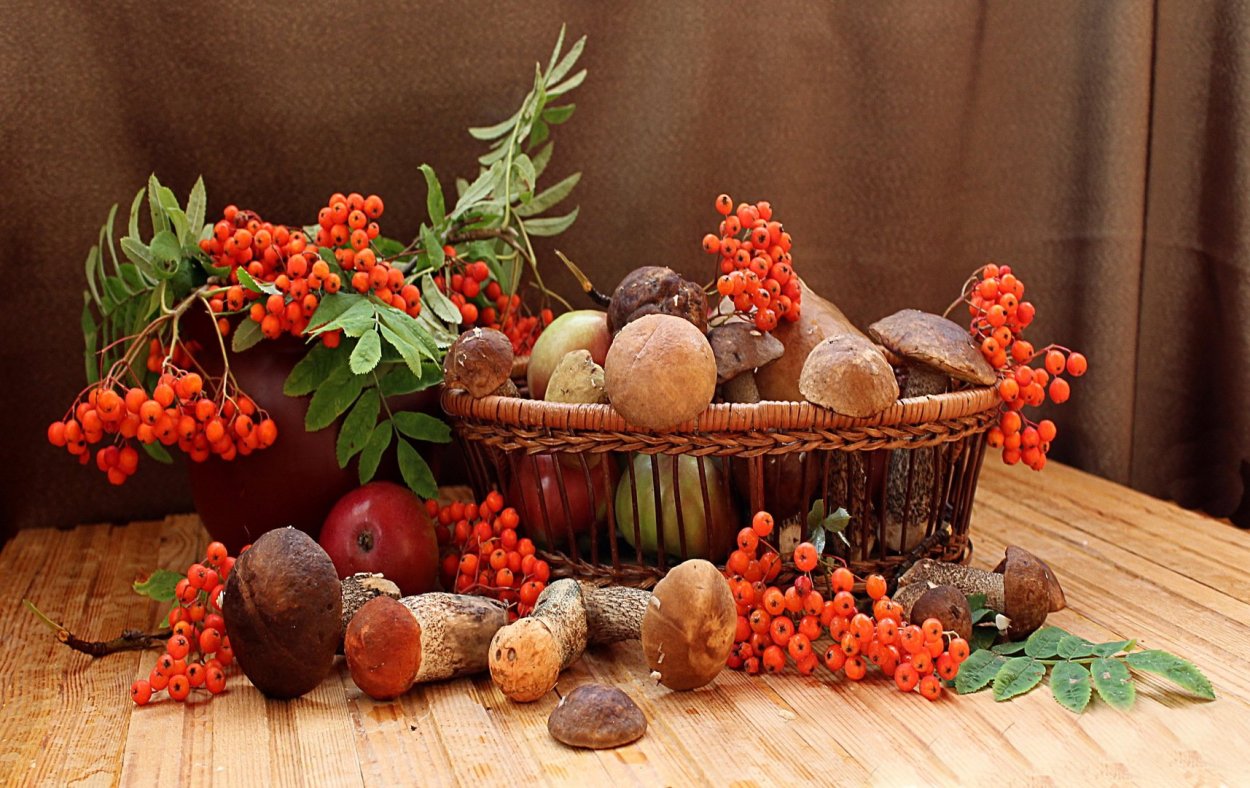 Грибы в осеннем лесу