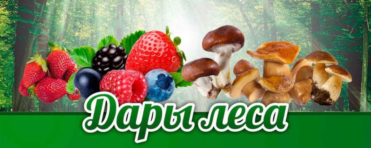 Карелия брусника и белый гриб