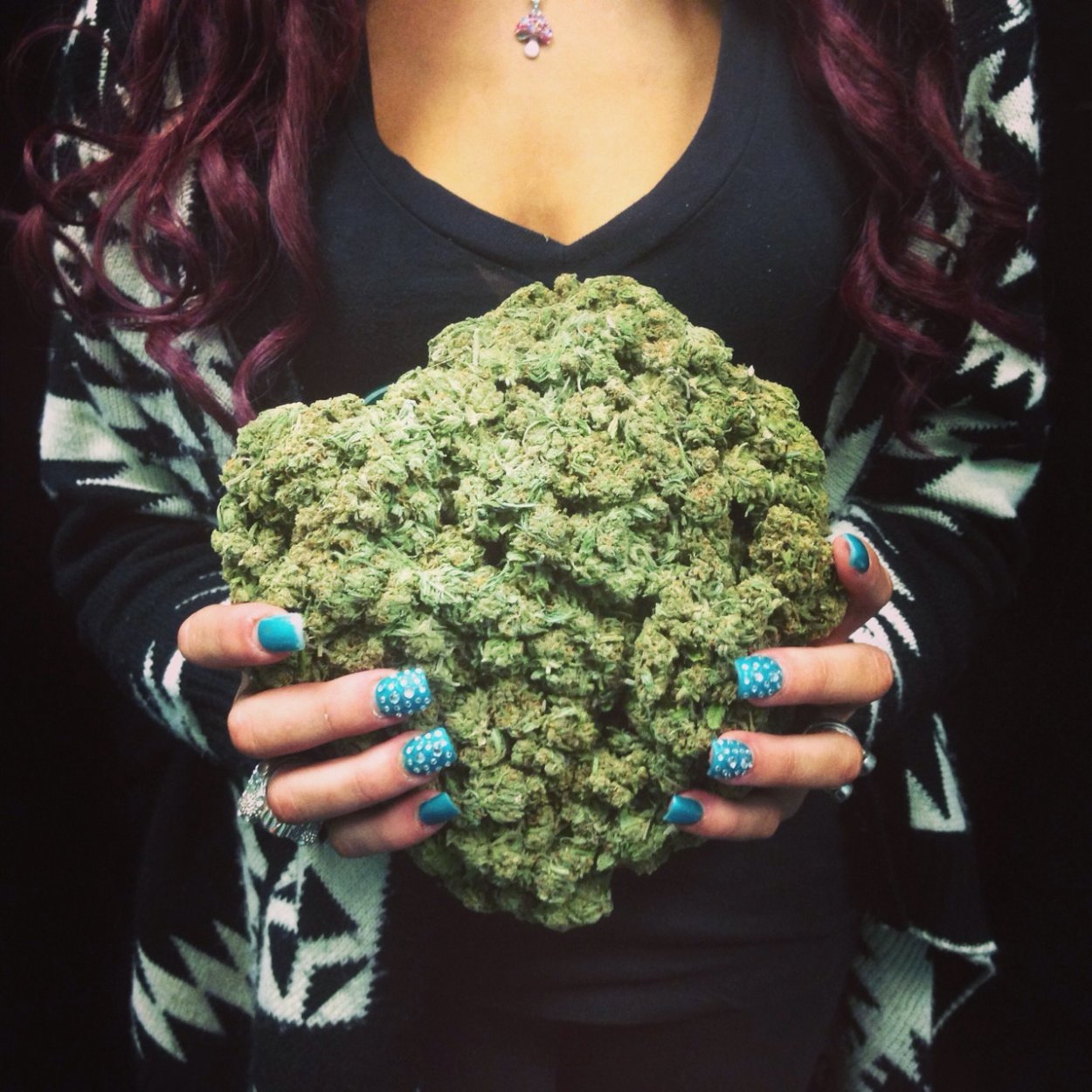 Мокрица трава