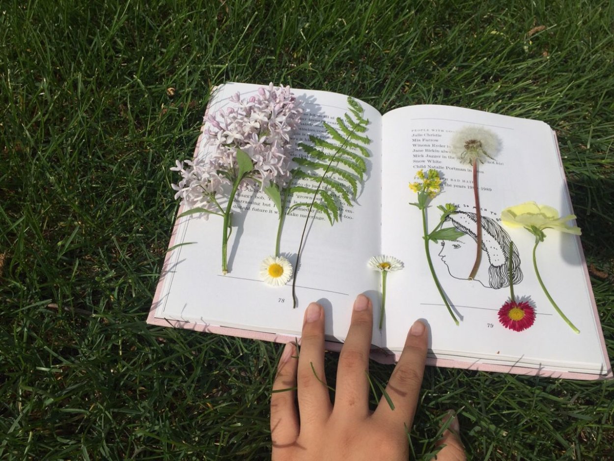 Растения Эстетика