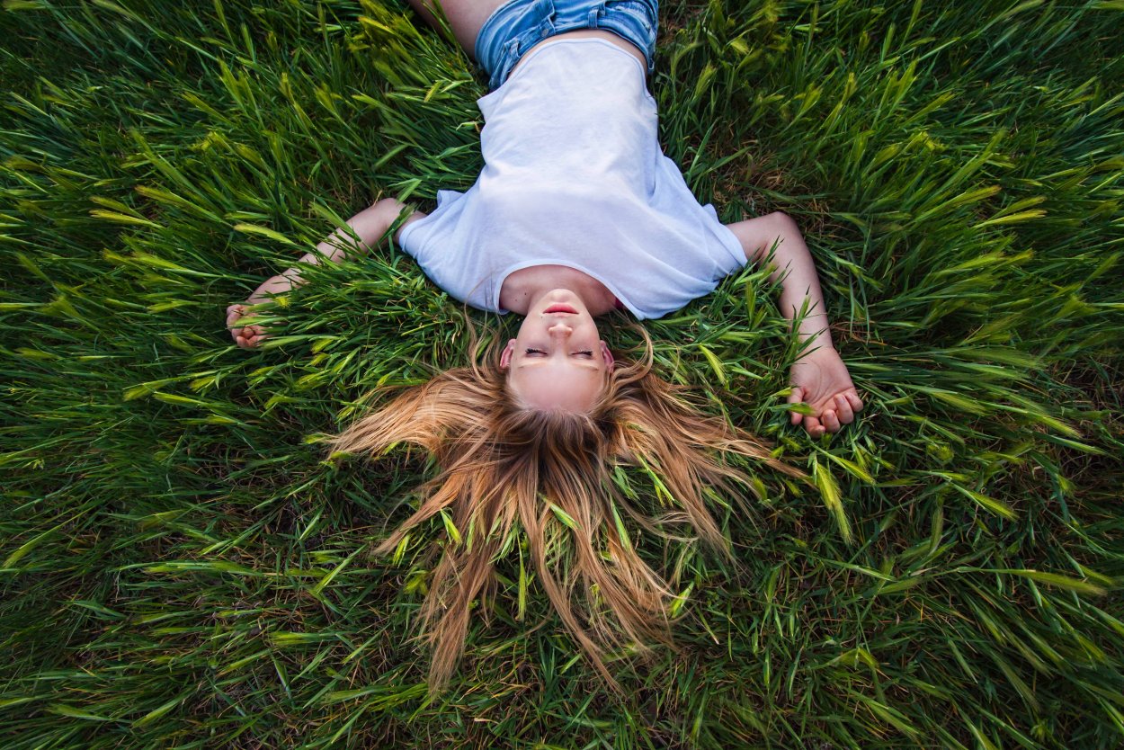 Обложка зеленые листья