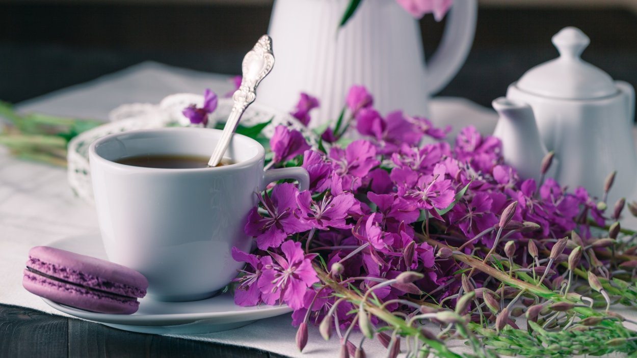 Чай из Иван чая