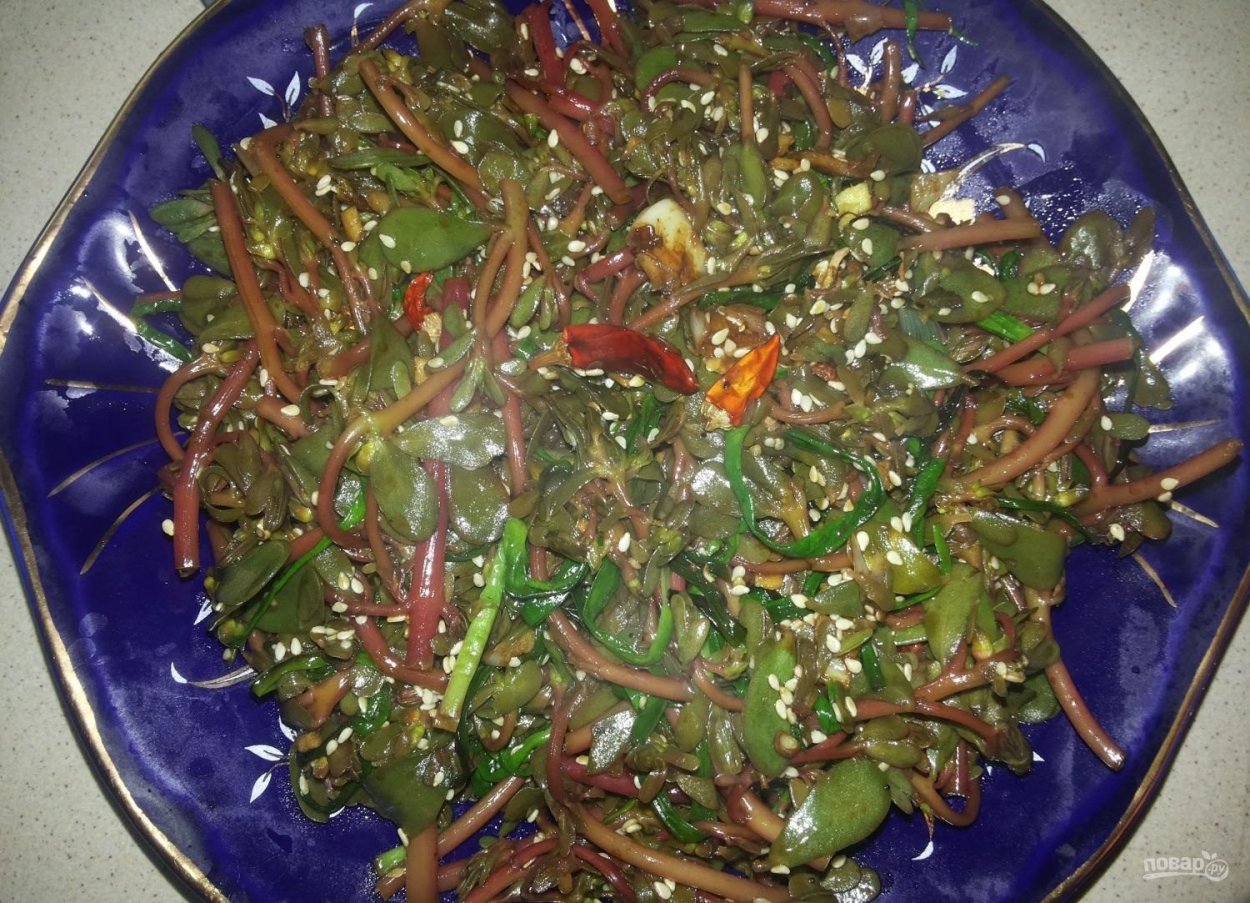 Салат портулак огородный