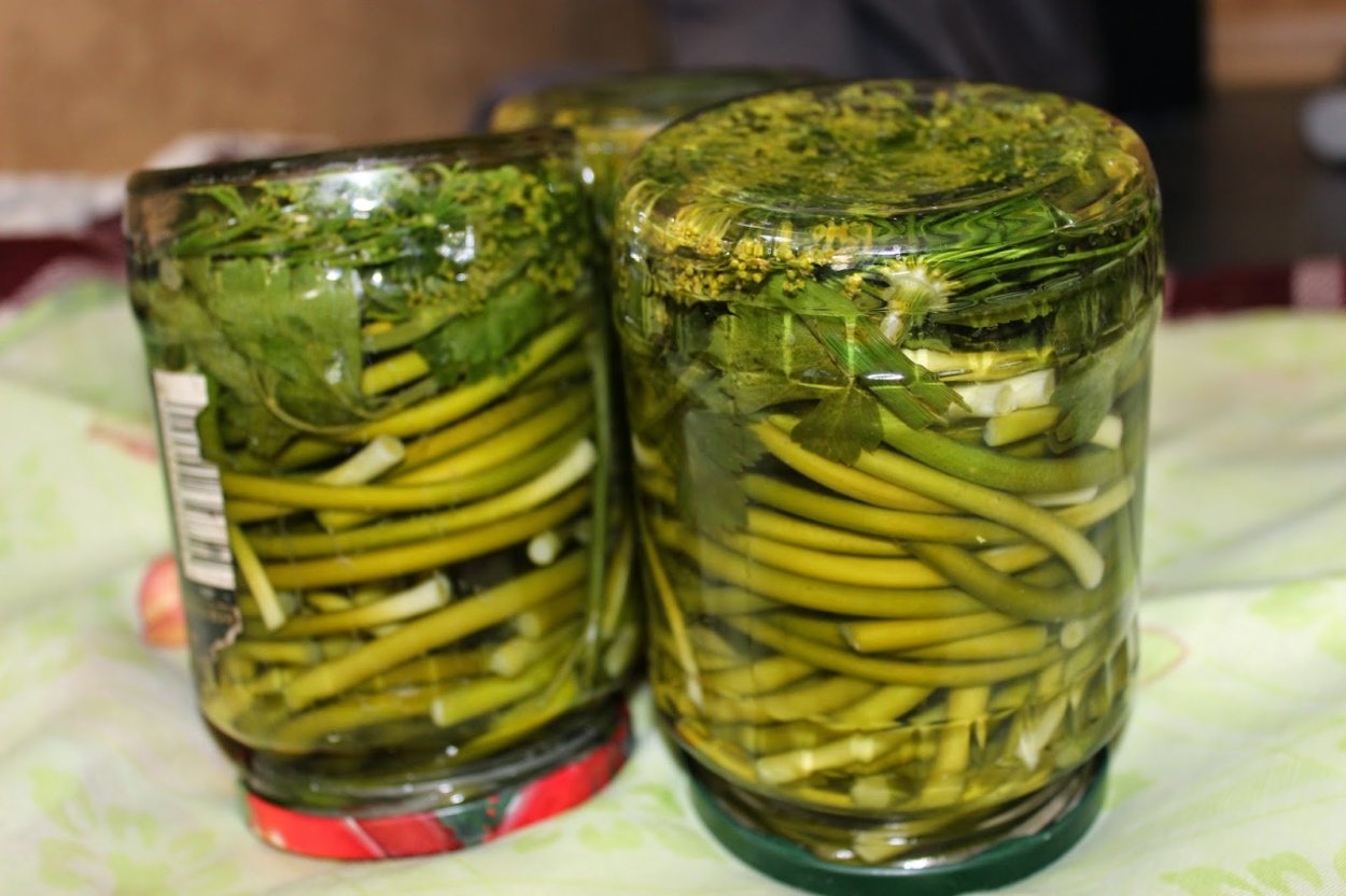 Черемша чеснок стрелки