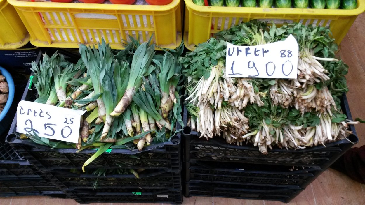 Сибех армянская трава