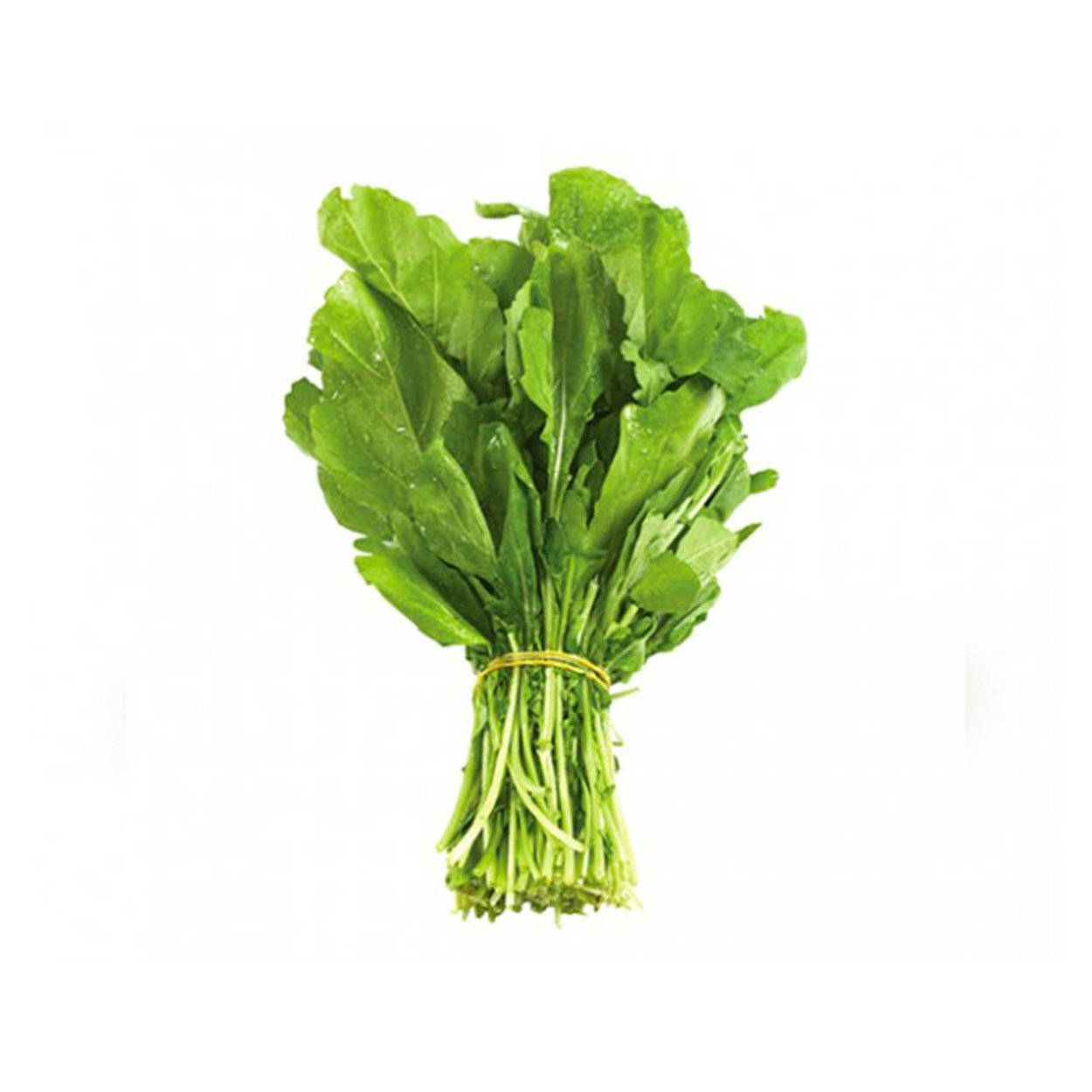 Руккола пучок фото