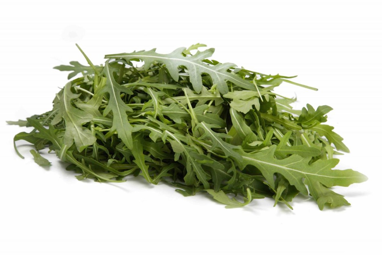 Рукола Дикая