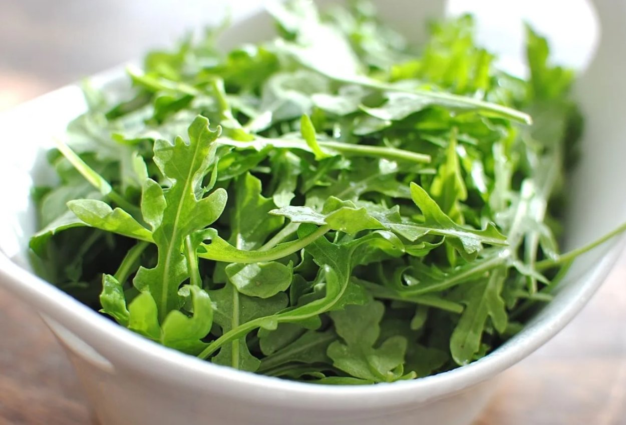 Рукола Колтивата