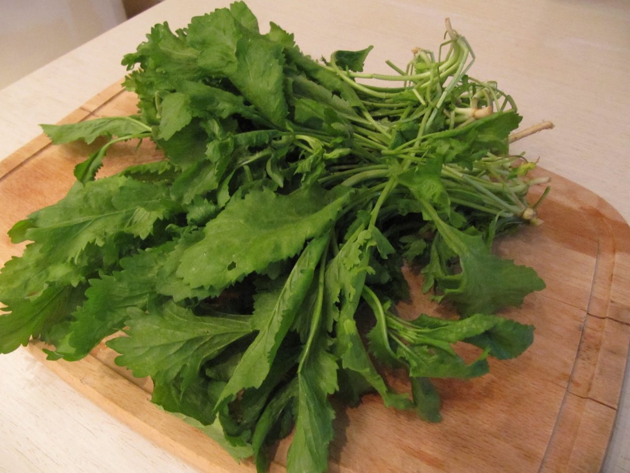 Цицмат трава