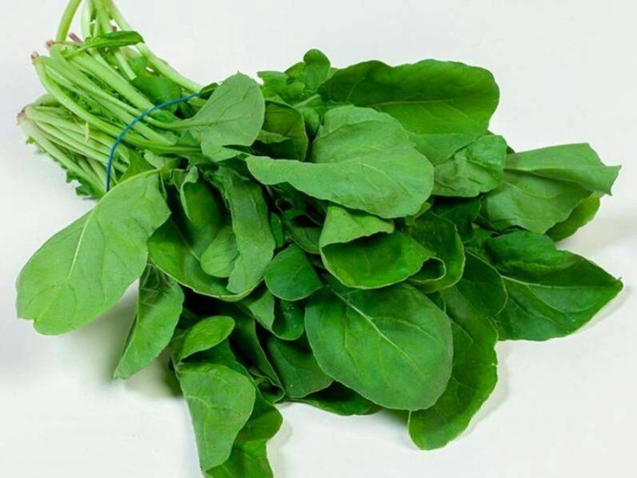 Цицмат и руккола