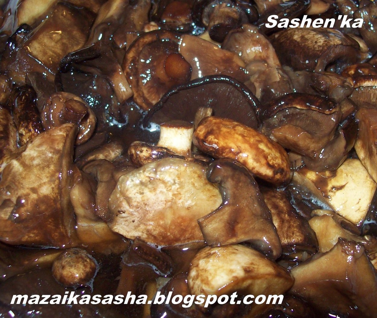 Рыжик Сосновый/Боровой (Lactarius deliciosus);