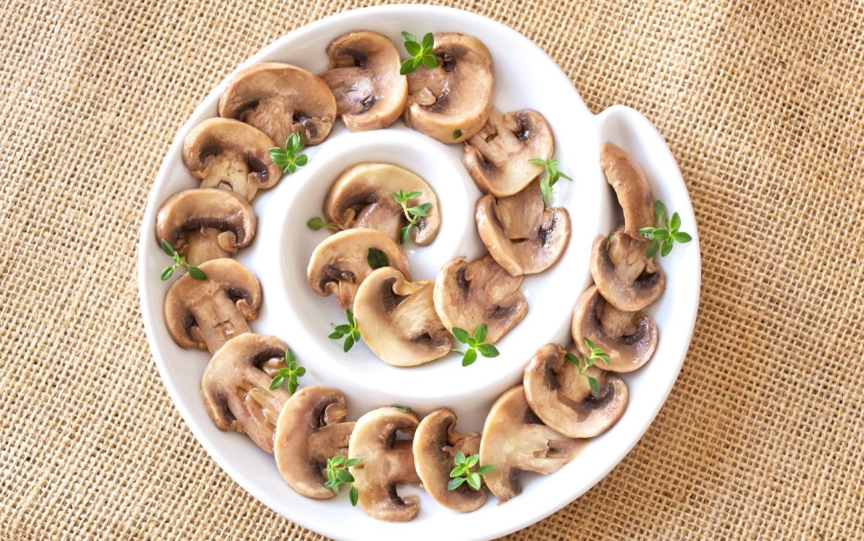 Грибы нарисованные Эстетика