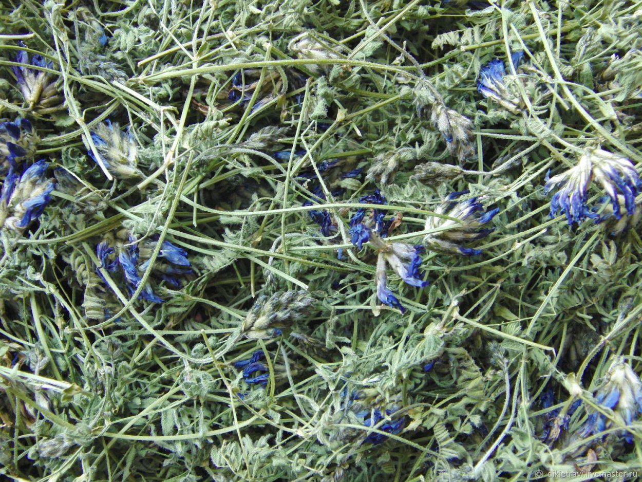 Герань журавельник