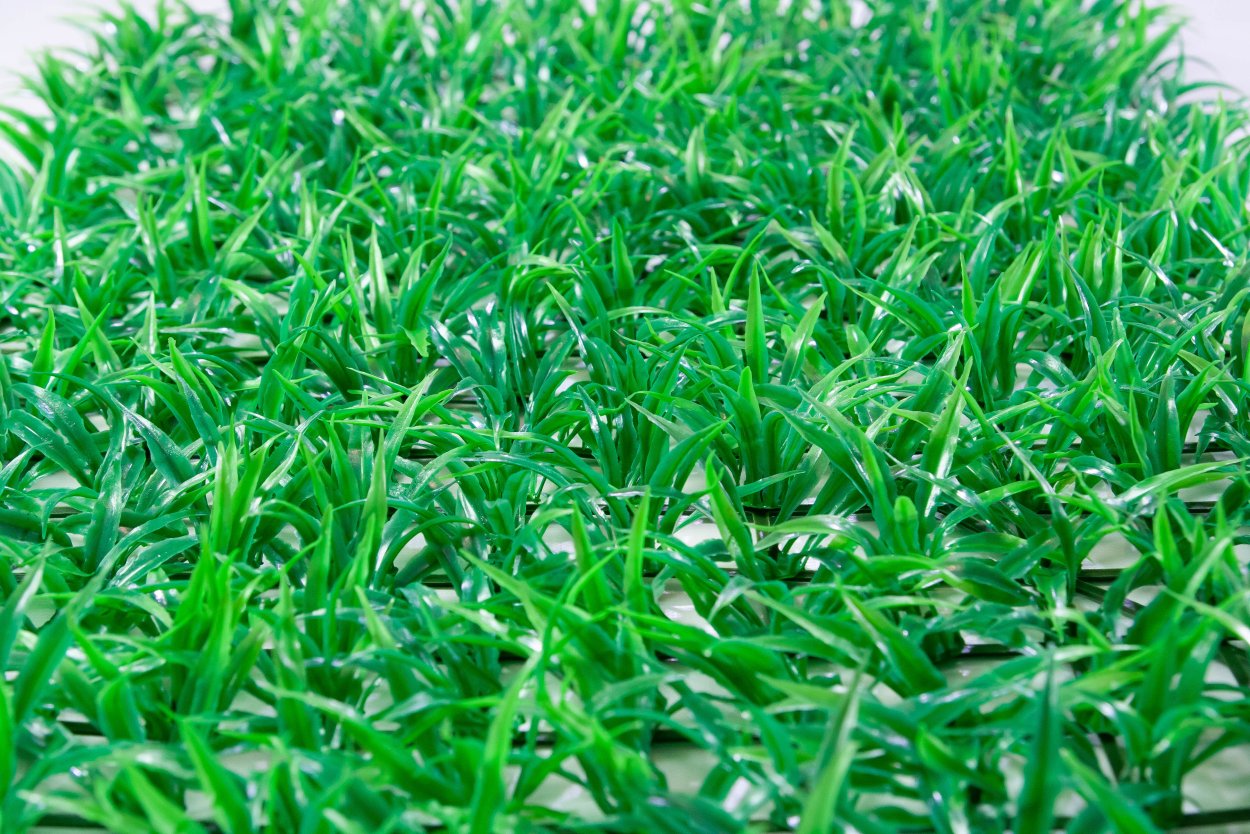 Спорыш (Горец птичий) трава