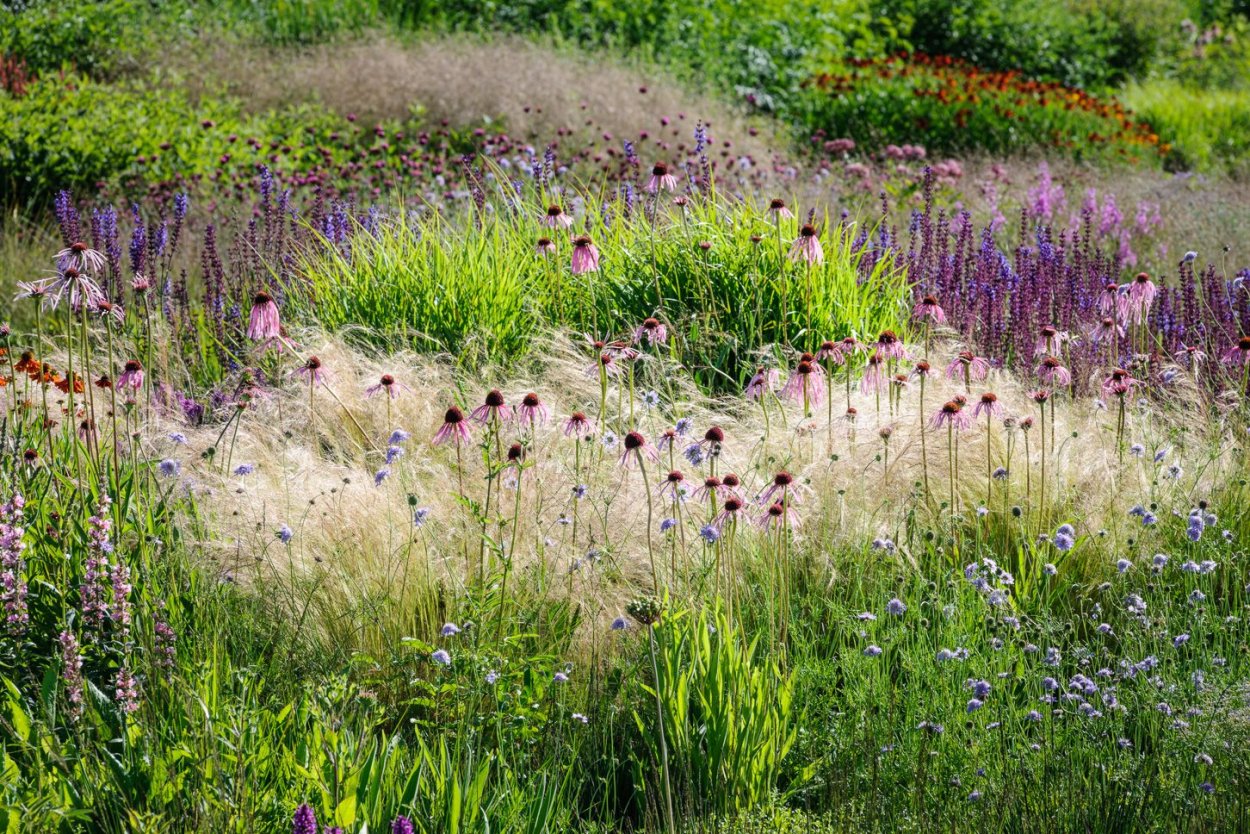 Пит Удольф цветники