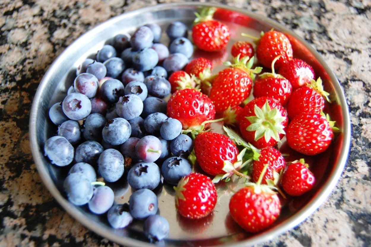 Шикша Северная ягода черная