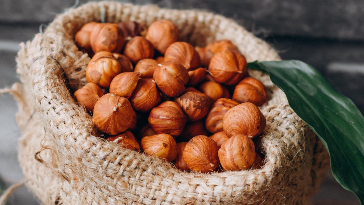 Красивый фундук