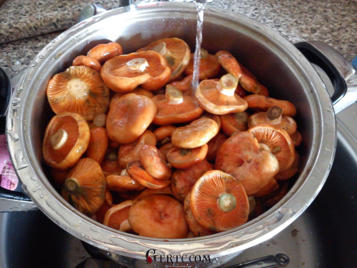 Лисички в корзине