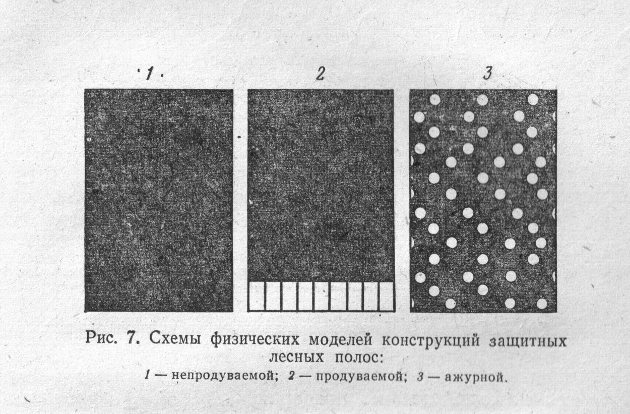 Конструкция полезащитных полос